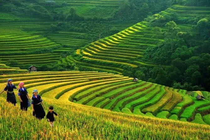 The Best Sapa Tour 2D1N Stay At 3* Hotel -Transfer by Sleep BUS - Key Points