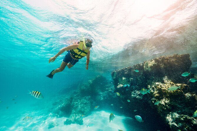 The best Speed Boat and Snorkeling in Cancun "Jungle Tour Adventure " - Key Points