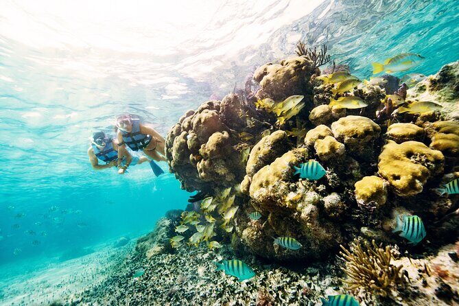 The best Speed Boat and Snorkeling in Cancun "Jungle Tour Adventure " - What to Expect and Tips for Participants