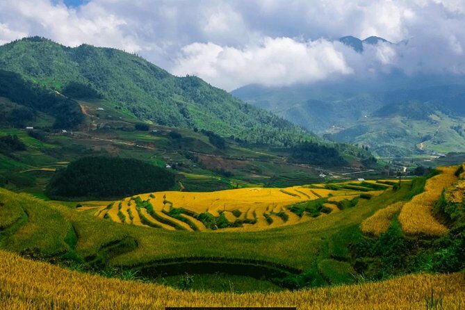 The best view and most authentic tour in Sapa (Non Touristy) - Why This Tour Works Well for Travelers