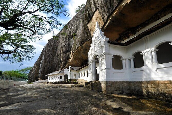 The Best Wild Elephant Safari tour from Colombo - Authentic Experiences and Insights from Reviews