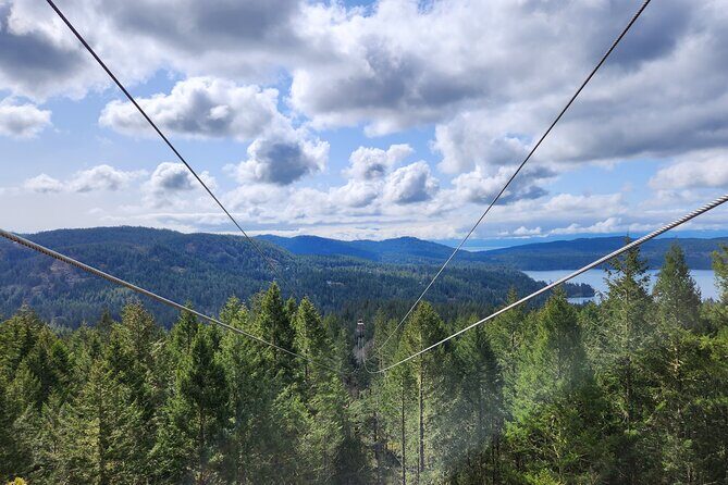 The Big Zip Experience - The Sum Up