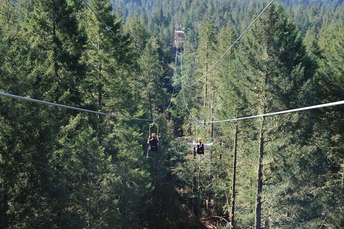 The Big Zip Experience - FAQ