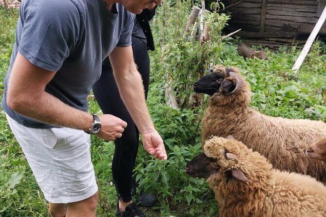 The Biggest Salt Mine in Europe and the Carpathian Authentic Villages - FAQs