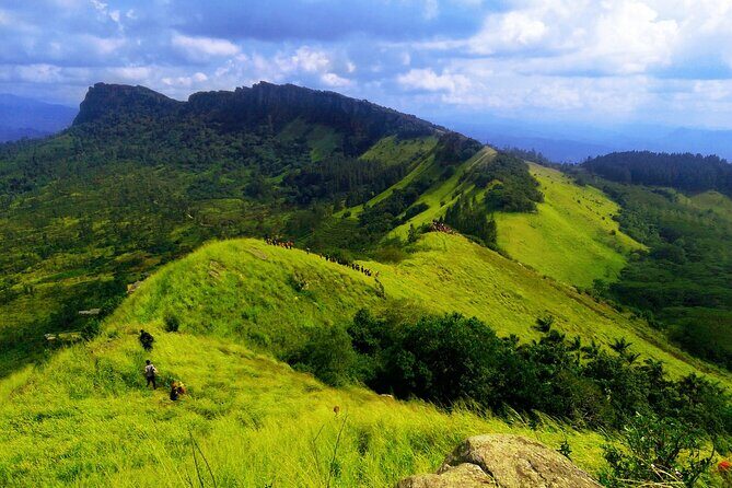 The birdwatchers quest through Hanthana Mountain Range  Kandy - Who Will Love This Tour?