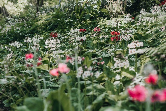 The Bloedel Reserve & Sightseeing - The Guides: Making a Difference