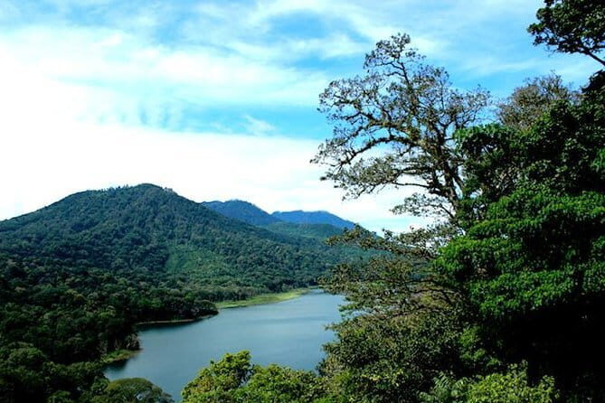 The Breathtaking North: Lake Bratan, Waterfall & Swing - Authenticity and Travel Insights from Reviews