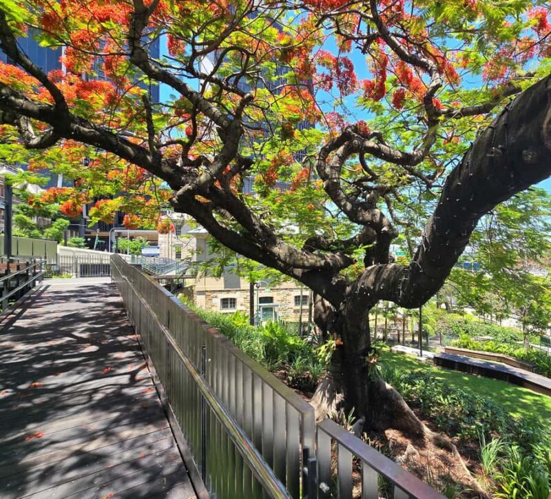 The Brisbane Experience: City Walking Tour - The Authentic Charm of the Tour