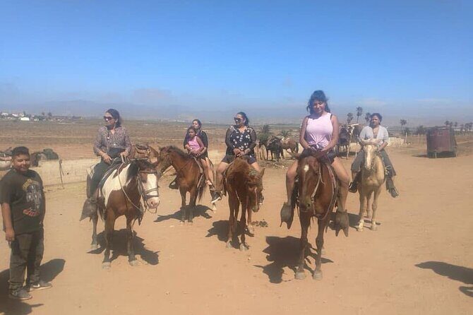 The Bufadora Tour and Horseback Riding - The Sum Up