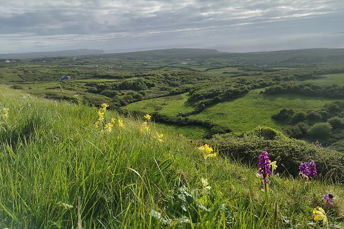 The Burren and Cliffs of Moher Full Day Private Tour from Galway - Authentic Experiences & Reviews