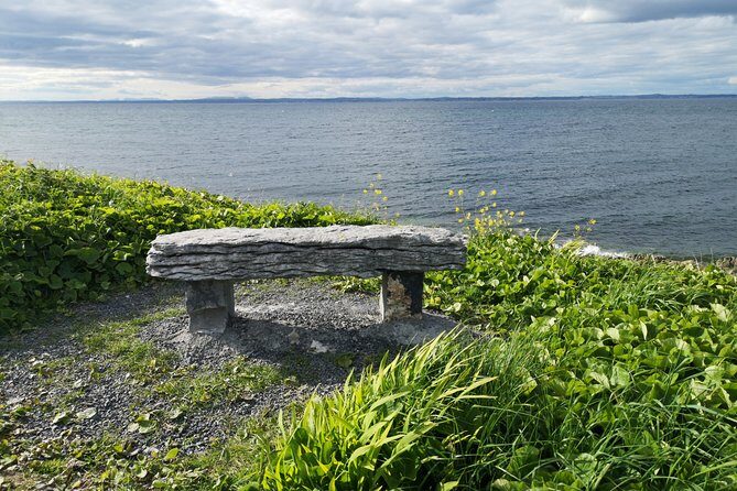 The Burren and Cliffs of Moher Full Day Private Tour from Galway - Final Thoughts