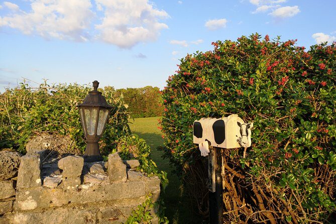 The Burren and Cliffs of Moher Full Day Private Tour from Galway - FAQ