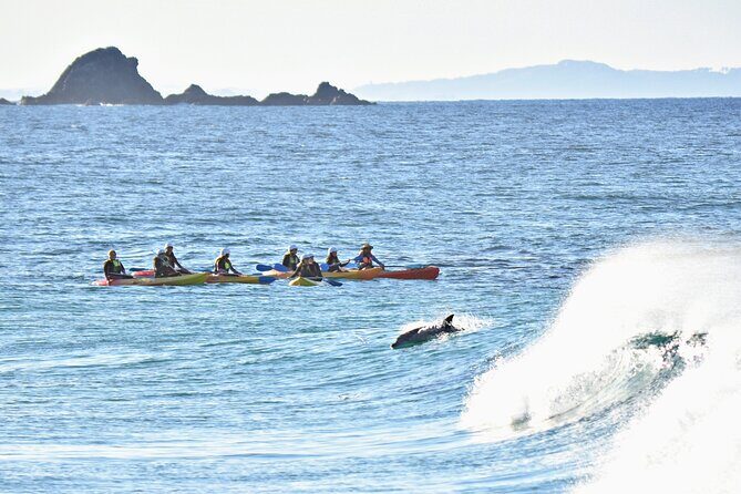 The Byron Bay Sea Kayak Tour - An Introduction to the Byron Bay Sea Kayak Tour