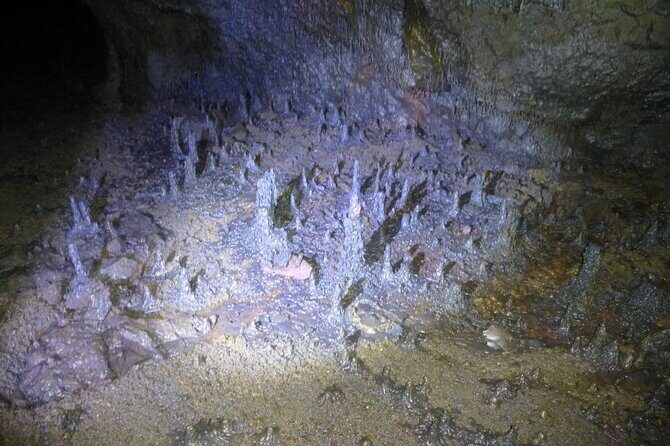 The Cave Explorer - What to Expect from the Cave Explorer Tour