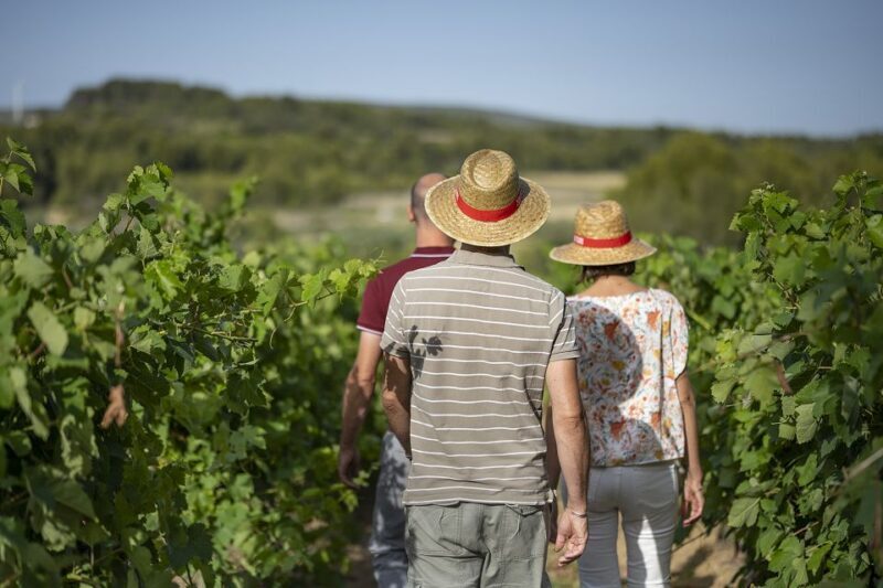 The Châteaux of Grès de Montpellier & Wine Tasting - FAQ