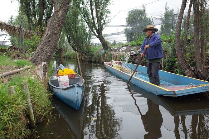 The City Green Exploring the Urban Eco Reserve of Xochimilco - Exploring the Floating Gardens and Canals