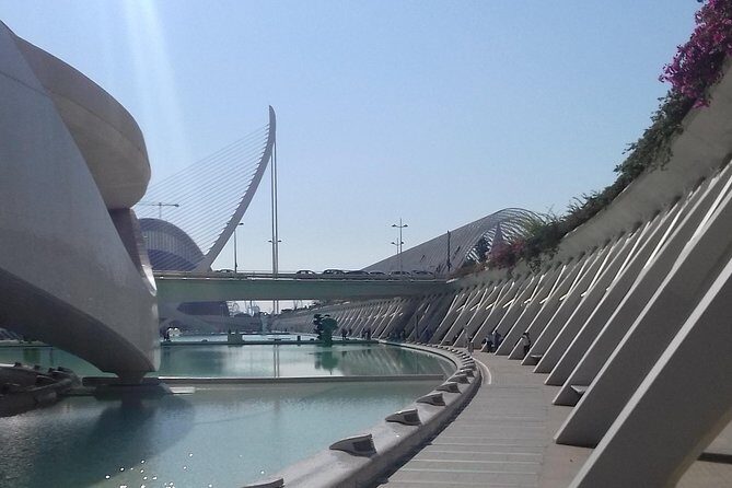 The City of Arts and Sciences in Valencia - Authentic Insights from Reviewers