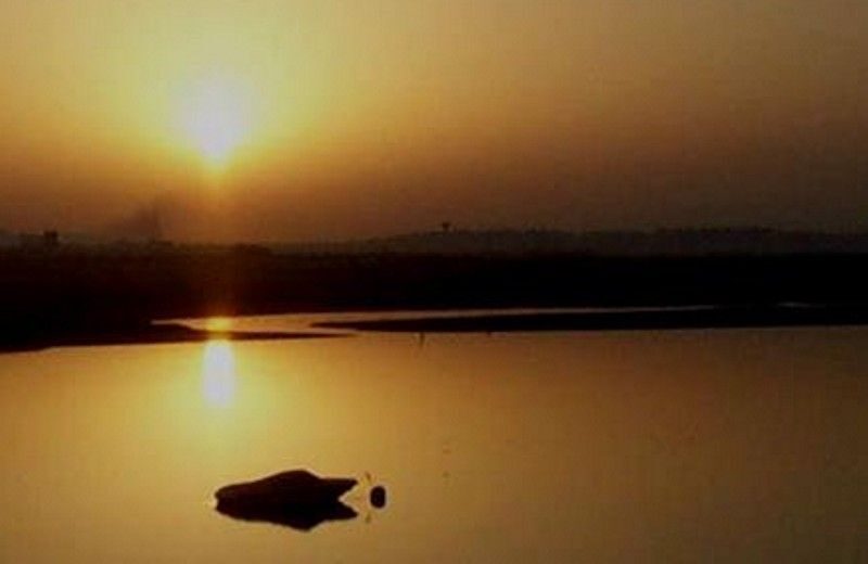 The Colors of Ria Formosa: Sunset Boat Trip in Faro - FAQ about the Sunset Boat Trip in Faro