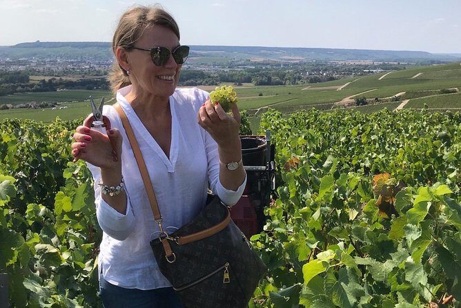 The Connoisseurs from Epernay (Private Half day Champagne Tour) - FAQ