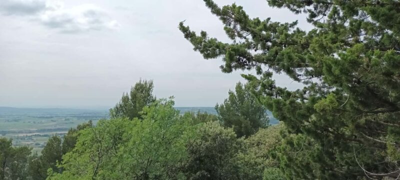 The Côtes du Rhône wine route by electric bike - The Experience in Detail: What You Can Expect