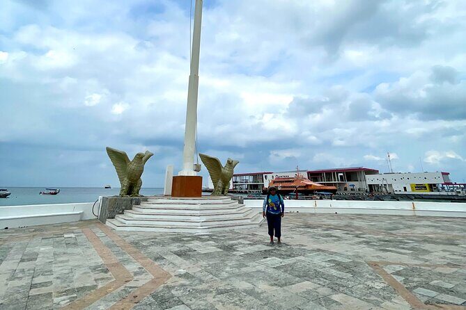 The Cozumel Turtle Sanctuary Snorkel Tour - Key Points