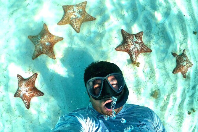 The Cozumel Turtle Sanctuary Snorkel Tour - Authentic Experiences from Travelers