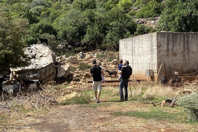 The Cretan Way of Life at the mountains of Rethymno (Mylopotamos) - Key Points