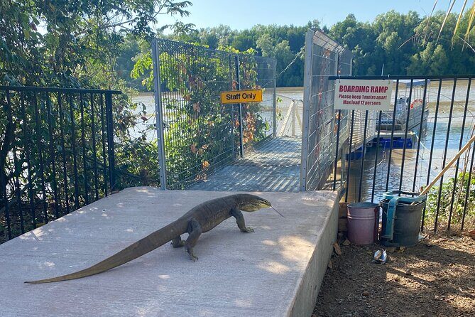 The Croc Bus to the Famous Jumping Crocodile Cruise - An In-Depth Look at the Croc Bus Experience