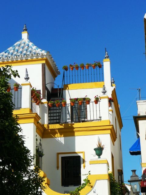 The Cultures of Seville Walking Tour - Final Thoughts