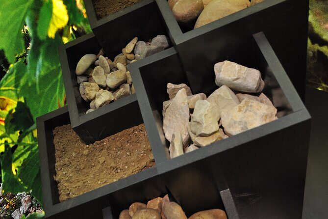 The discovery trail at Maison Brotte - Practical Details