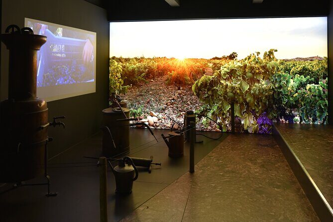 The discovery trail at Maison Brotte - Who should consider this tour?