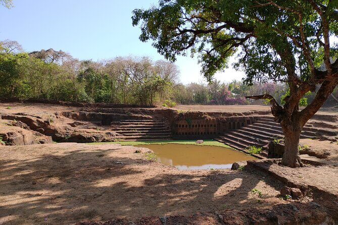 The Divar Island Exploration - An In-Depth Look at the Tour Experience