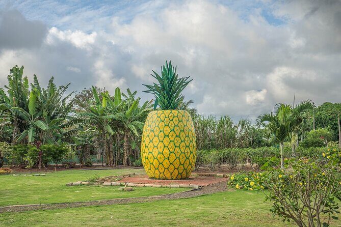 "The Dole Plantation" & "North Shore" Private Limousine VIP Tour! - Who Will Love This Tour?