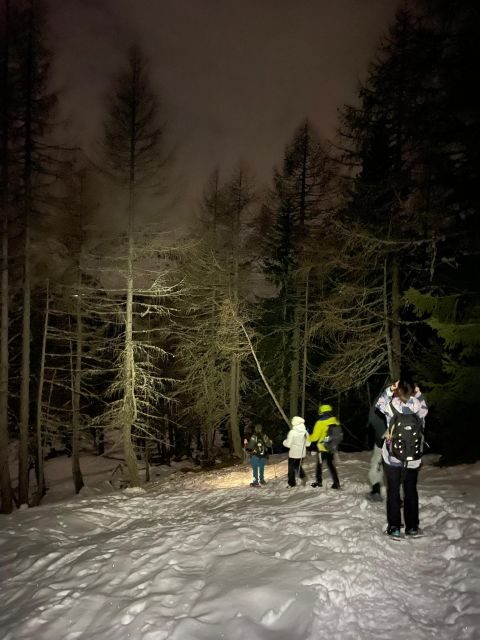 The Dolomites at night with snowshoes - Key Points