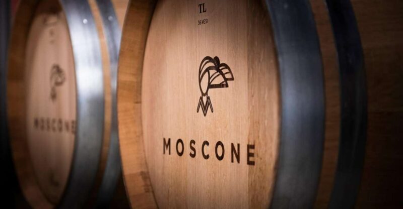 The Dosman: Winetasting in La Morra - An In-Depth Look at the Experience