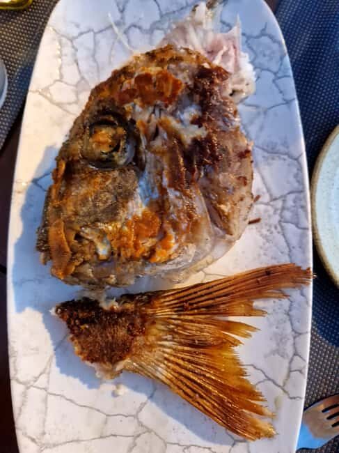 The Dubrovnik Elafiti Islands RIB Boat Tour with LUMAX ***** - Final Thoughts