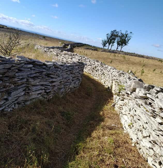 The Earth Remembers: SUV Tour in Serras de Aire e Candeeiros - What to Expect: Practical Details & Tips