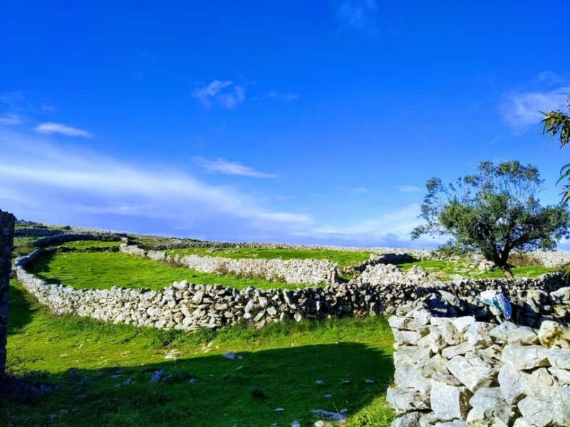 The Earth Remembers: SUV Tour in Serras de Aire e Candeeiros - The Sum Up