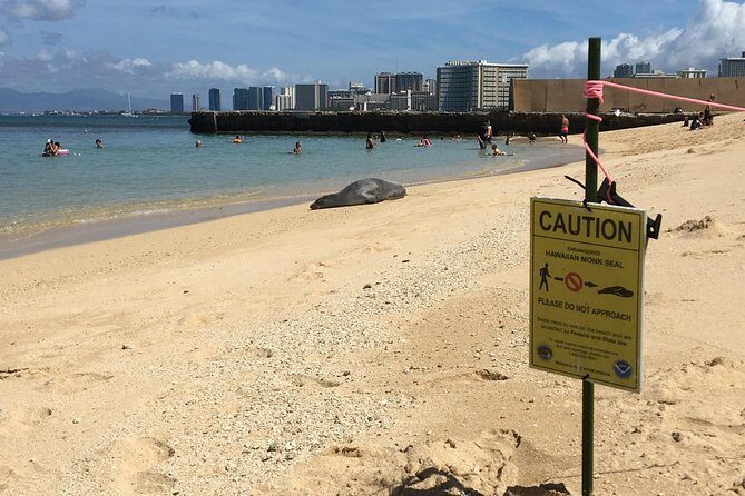 The East Waikiki Walking Tour - FAQ