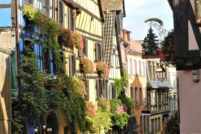 The Emblematic: visit of villages, Haut-Koenigsbourg, Wine tasting - Who Is This Tour Best For?