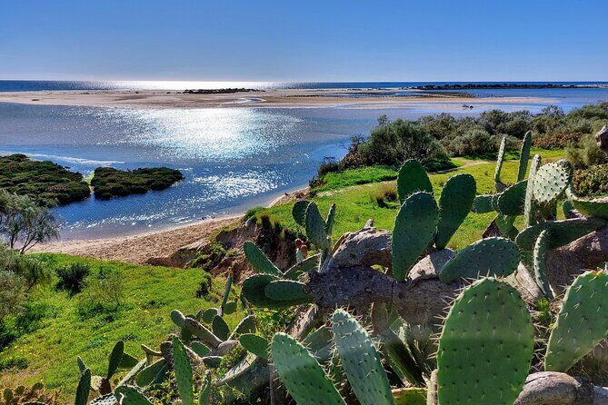 The Essential Algarve Relocation Tour! - The Sum Up