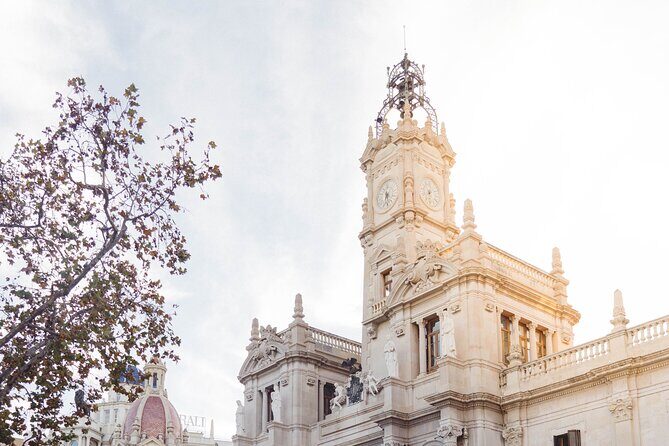 The Essentials of Valencia in a Guided Tour - Exploring Valencia in 90 Minutes: What You Can Expect