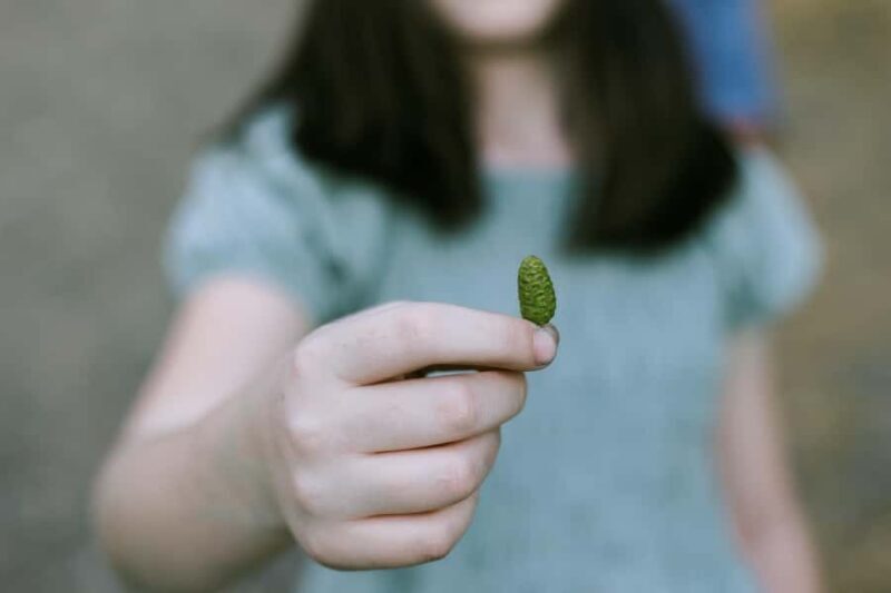 The Evolution of Yosemite: 3-Hour Hiking Tour - The Value of This Experience