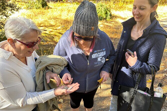 The Evolution of Yosemite 3 Hour Hiking Tour - FAQs