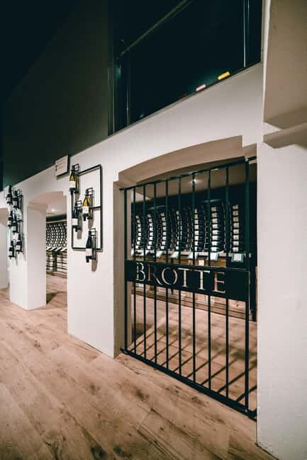 The Expression Tour: Visit & wine tasting. - What to Expect from the Tour