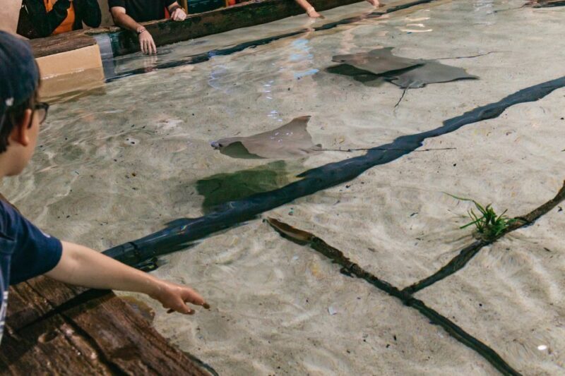 The Florida Aquarium Ticket - Who Is This Tour Best For?