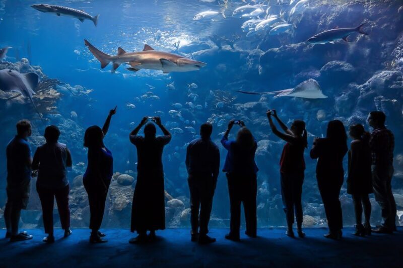 The Florida Aquarium Ticket - Location and Accessibility