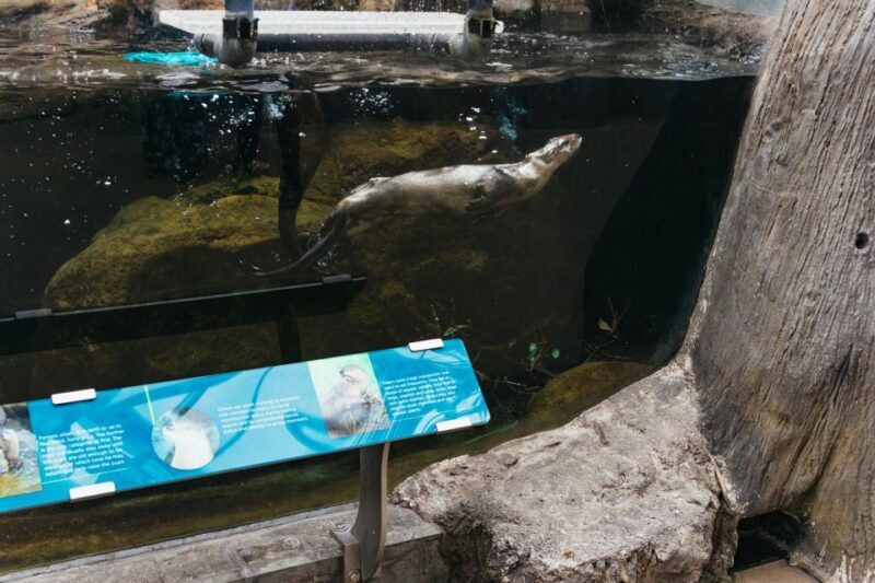 The Florida Aquarium Ticket - Visitor Experience and Feedback