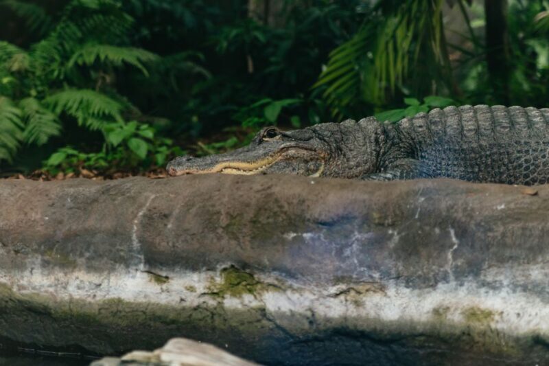 The Florida Aquarium Ticket - Tips for Your Visit