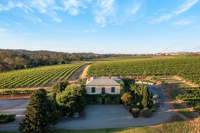 The Florita Wine Tasting Experience - Key Points